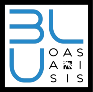 Premier Exteriors logo