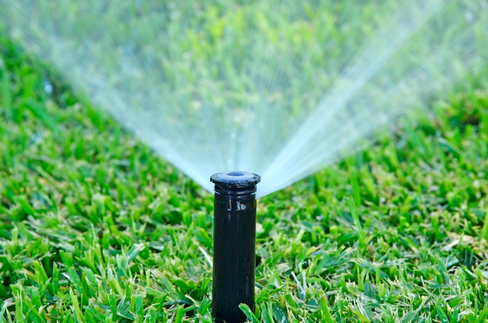 Landscape Irrigation Systems