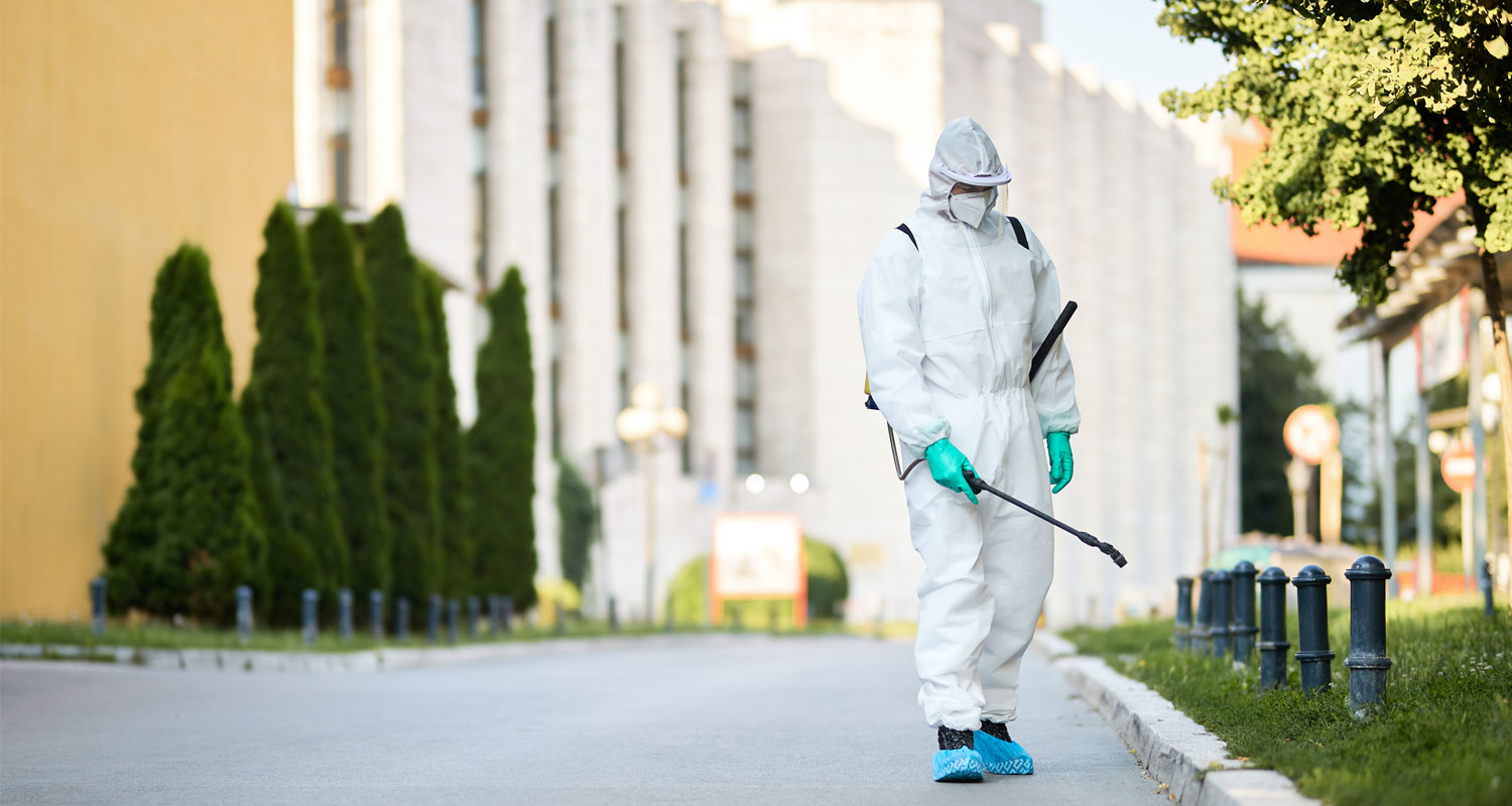 Professional pest control service